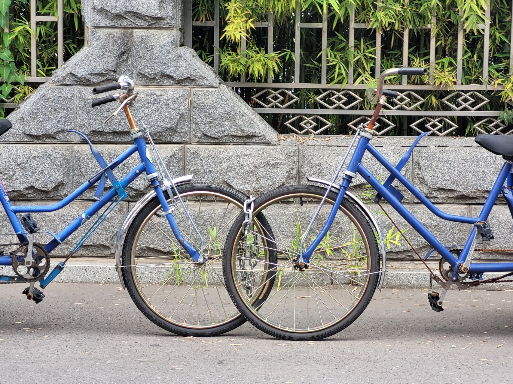 Bicycle community gathering