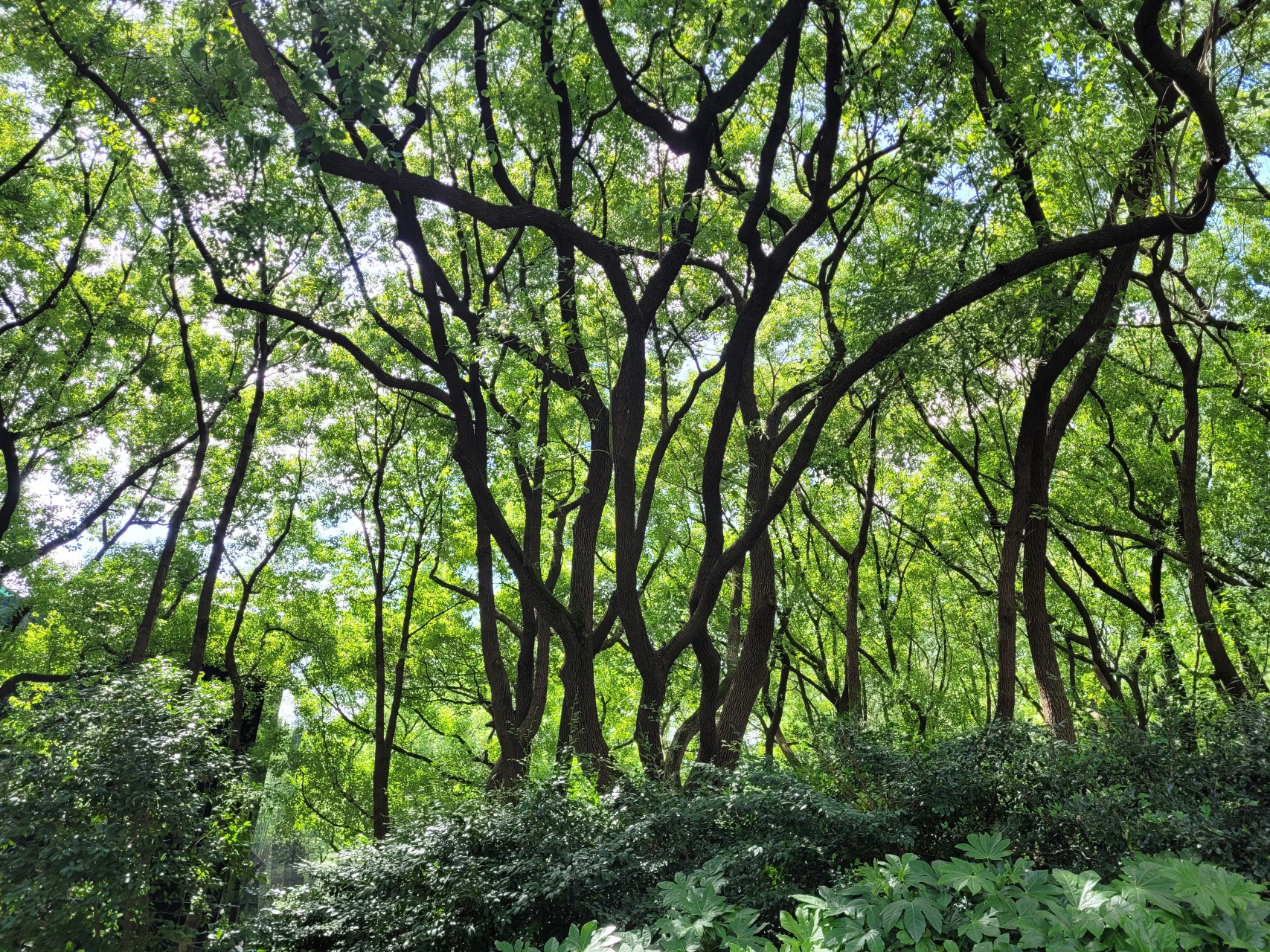 The Principle of Mindful Awareness