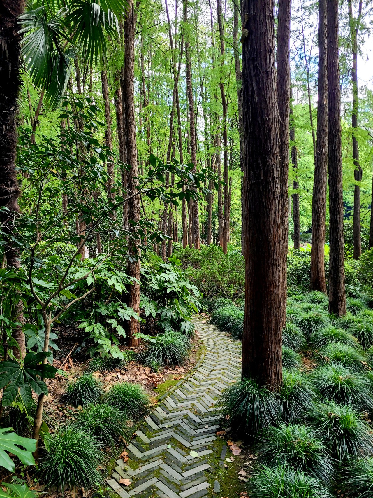 The Principle of Continuous Growth