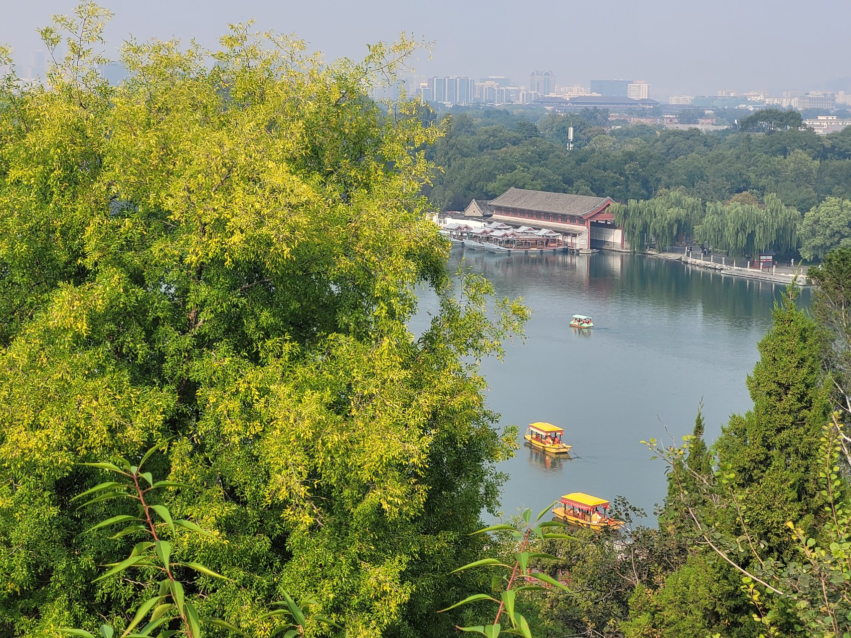 The Principle of Compassionate Action