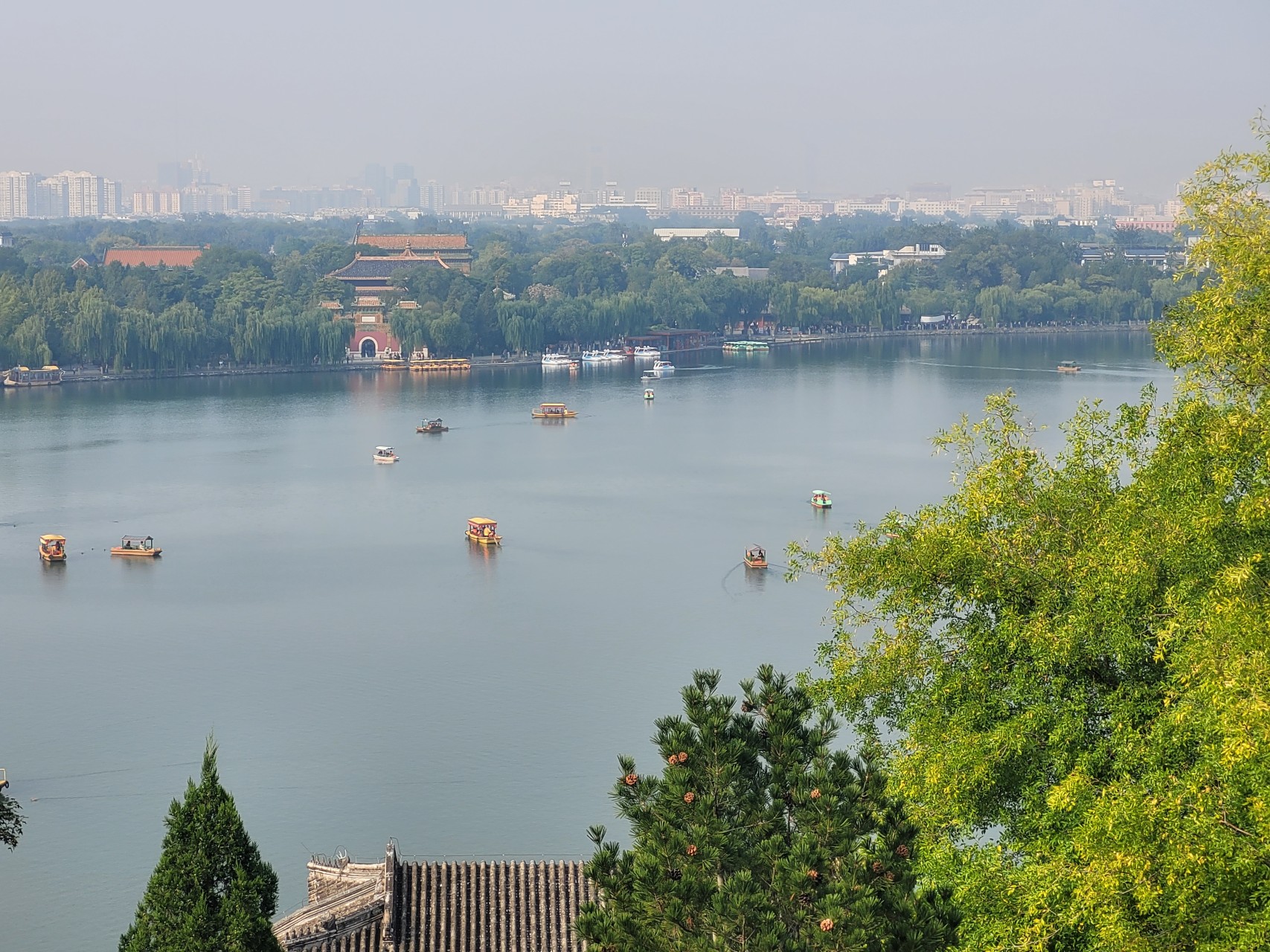 The Principle of Purposeful Duty