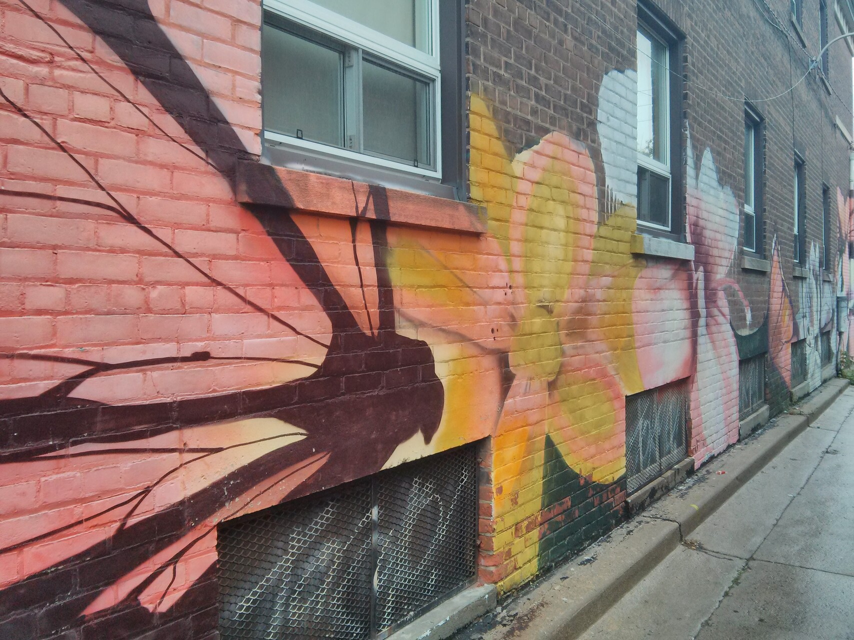 The last known address. A modest brick walk-up at the corner of Ossington and Bloor, now sandwiched between a soaring glass condo and a trendy cocktail bar. The bike rack out front is empty.