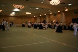 Aikido-1