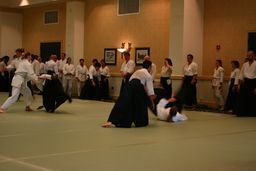 Aikido-3